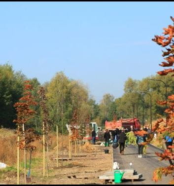 Purmo planter 30 trær langs sykkelsti i Rybnik i forbindelse med 30-års jubileum