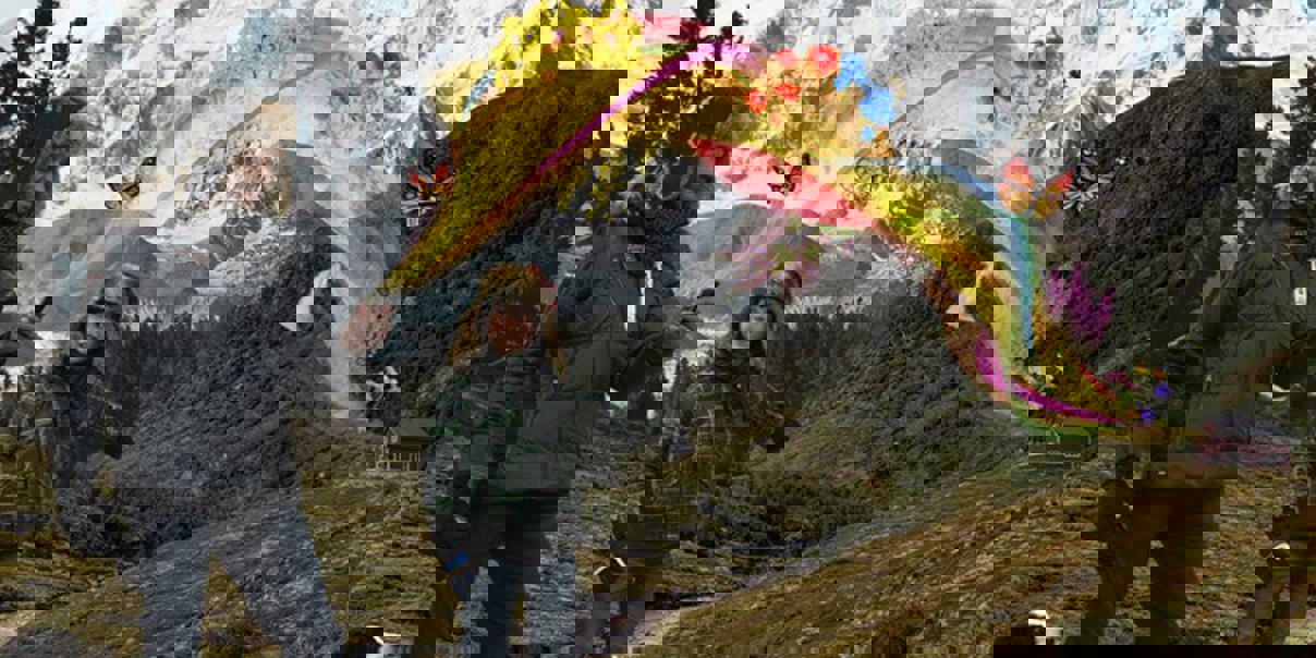 LVI-clevertouch-810x810px